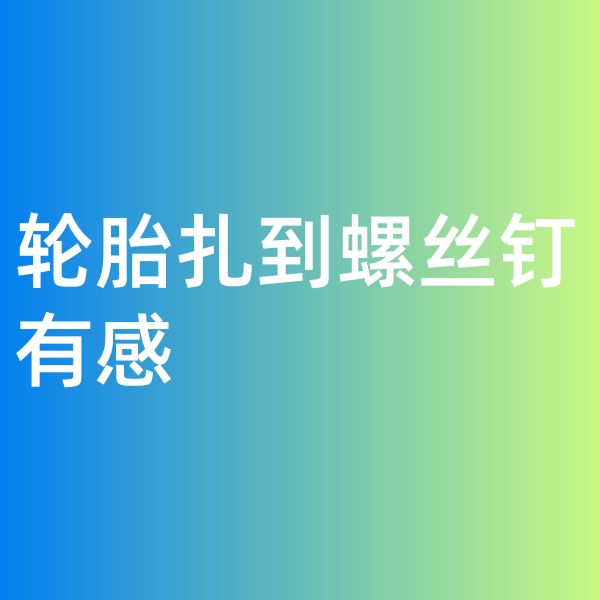 鈀碳回收，輪胎扎到螺絲釘有感